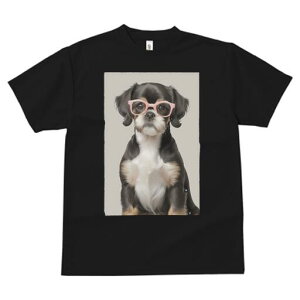 Lov[ TVc  j[NfUCfB[X t@  t vg JWA 킢 lԗp Mtg I Kl Lov[