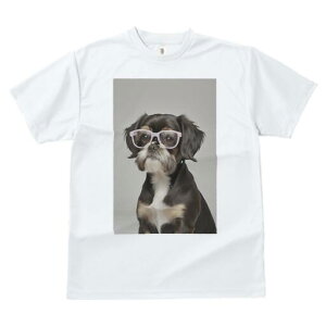 V[Y[,LoA TVc  j[NfUCfB[X t@  t vg JWA 킢 lԗp Mtg I Kl V[Y[,LoA