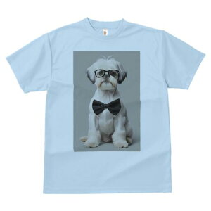 V[Y[,LoA TVc  j[NfUCY LbY t@  t vg JWA 킢 lԗp Mtg I Kl V[Y[,LoA