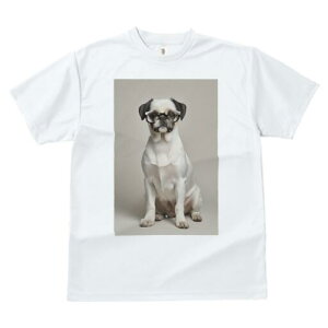 pO TVc  j[NfUCfB[X t@  t vg JWA 킢 lԗp Mtg I Kl pO