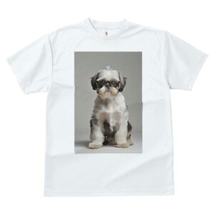 V[Y[ TVc  j[NfUCY LbY t@  t vg JWA 킢 lԗp Mtg I Kl V[Y[