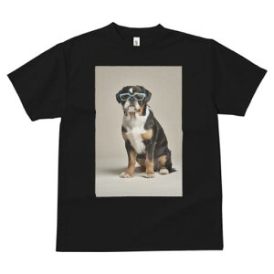 uhbO TVc  j[NfUCfB[X t@  t vg JWA 킢 lԗp Mtg I Kl uhbO