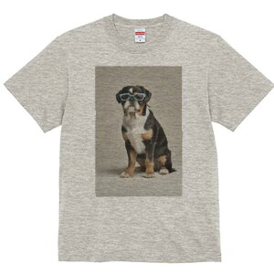 uhbO TVc  j[NfUCY LbY t@  t vg JWA 킢 lԗp Mtg I Kl uhbO