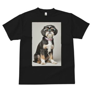 V[Y[ TVc  j[NfUCfB[X t@  t vg JWA 킢 lԗp Mtg I Kl V[Y[