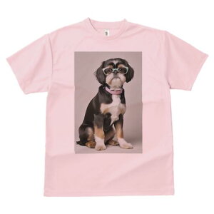 V[Y[ TVc  j[NfUCY LbY t@  t vg JWA 킢 lԗp Mtg I Kl V[Y[