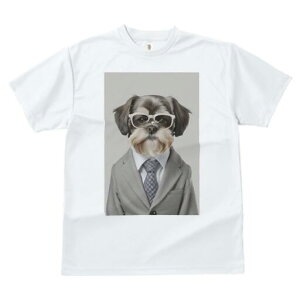 V[Y[ TVc  j[NfUCfB[X t@  t vg JWA 킢 lԗp Mtg I X[c V[Y[ lN^C ዾ