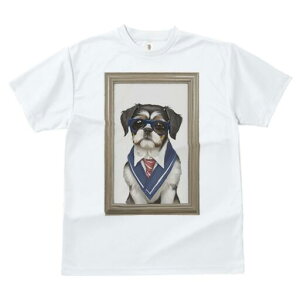 V[Y[ TVc  j[NfUCfB[X t@  t vg JWA 킢 lԗp Mtg I lN^C V[Y[ ዾ Vc X[c