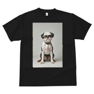 V[Y[ TVc  j[NfUCfB[X t@  t vg JWA 킢 lԗp Mtg I Kl V[Y[ 