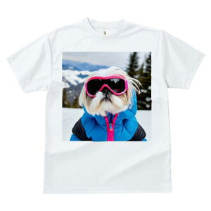 V[Y[ TVc  j[NfUCfB[X t@  t vg JWA 킢 lԗp Mtg I XL[EFA V[Y[ XL[S[O R