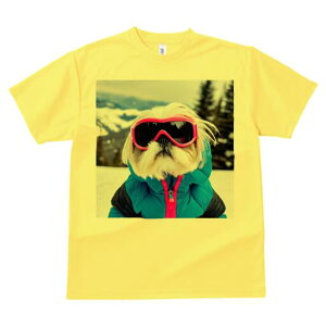 V[Y[ TVc  j[NfUCY LbY t@  t vg JWA 킢 lԗp Mtg I XL[EFA V[Y[ XL[S[O R