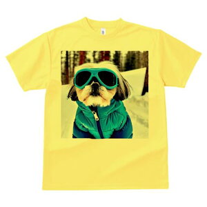 V[Y[ TVc  j[NfUCY LbY t@  t vg JWA 킢 lԗp Mtg I XL[EFA V[Y[ XL[S[O 