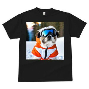 V[Y[ TVc  j[NfUCfB[X t@  t vg JWA 킢 lԗp Mtg I XL[EFA V[Y[ XL[S[O 