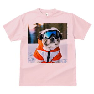 V[Y[ TVc  j[NfUCY LbY t@  t vg JWA 킢 lԗp Mtg I XL[EFA V[Y[ XL[S[O 