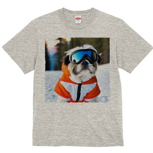 V[Y[ TVc  j[NfUCY LbY t@  t vg JWA 킢 lԗp Mtg I XL[EFA V[Y[ XL[S[O 