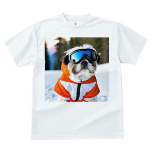 V[Y[ TVc  j[NfUCY LbY t@  t vg JWA 킢 lԗp Mtg I XL[EFA V[Y[ XL[S[O 