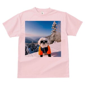 }`[Y TVc  j[NfUCY LbY t@  t vg JWA 킢 lԗp Mtg I XL[ }`[Y ~ R XL[EFA