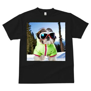 V[Y[ TVc  j[NfUCfB[X t@  t vg JWA 킢 lԗp Mtg I XL[EFA V[Y[ XL[S[O R