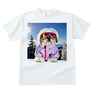 V[Y[ TVc  j[NfUCfB[X t@  t vg JWA 킢 lԗp Mtg I XL[ V[Y[ ~  XL[EFA