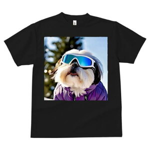 V[Y[ TVc  j[NfUCfB[X t@  t vg JWA 킢 lԗp Mtg I XL[S[O V[Y[ ~ XL[EFA