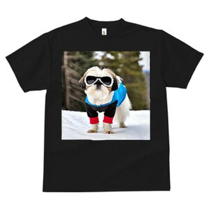 V[Y[ TVc  j[NfUCfB[X t@  t vg JWA 킢 lԗp Mtg I TOX V[Y[  XL[EFA