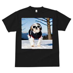 V[Y[ TVc  j[NfUCfB[X t@  t vg JWA 킢 lԗp Mtg I  V[Y[ ~ TOX WPbg