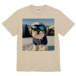 V[Y[ TVc  j[NfUCY LbY t@  t vg JWA 킢 lԗp Mtg I XL[ V[Y[ R ~ XL[EFA