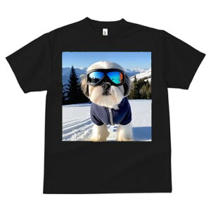 V[Y[ TVc  j[NfUCfB[X t@  t vg JWA 킢 lԗp Mtg I XL[ V[Y[ R ~ XL[EFA