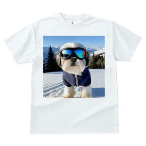 V[Y[ TVc  j[NfUCfB[X t@  t vg JWA 킢 lԗp Mtg I XL[ V[Y[ R ~ XL[EFA