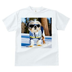 V[Y[ TVc  j[NfUCfB[X t@  t vg JWA 킢 lԗp Mtg I XL[ V[Y[ ~  XL[EFA