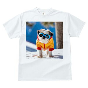 V[Y[ TVc  j[NfUCfB[X t@  t vg JWA 킢 lԗp Mtg I TOX V[Y[ p[J[ 