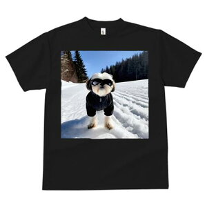 V[Y[ TVc  j[NfUCfB[X t@  t vg JWA 킢 lԗp Mtg I  V[Y[ ~ XL[ TOX