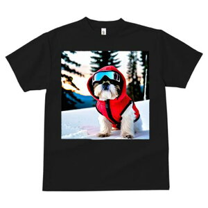 V[Y[ TVc  j[NfUCY LbY t@  t vg JWA 킢 lԗp Mtg I  V[Y[ XL[EFA S[O