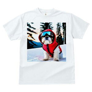 V[Y[ TVc  j[NfUCfB[X t@  t vg JWA 킢 lԗp Mtg I  V[Y[ XL[EFA S[O