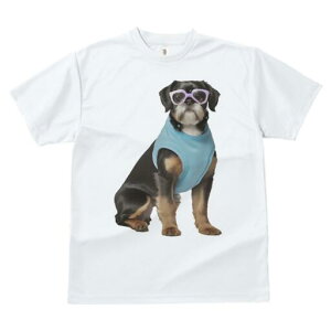 ubZOtH TVc  j[NfUCfB[X t@  t vg JWA 킢 lԗp Mtg I TVc ubZOtH Kl