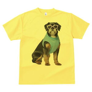 ubZOtH TVc  j[NfUCY LbY t@  t vg JWA 킢 lԗp Mtg I ubZOtH Kl