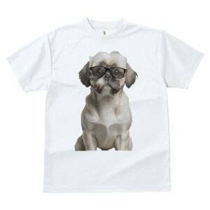 V[Y[ TVc  j[NfUCfB[X t@  t vg JWA 킢 lԗp Mtg I Kl V[Y[