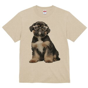 V[Y[,yLj[Y TVc  j[NfUCY LbY t@  t vg JWA 킢 lԗp Mtg I Kl V[Y[,yLj[Y