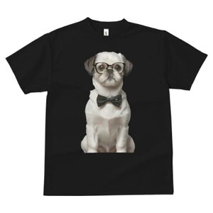 V[Y[ TVc  j[NfUCfB[X t@  t vg JWA 킢 lԗp Mtg I lN^C V[Y[ ዾ