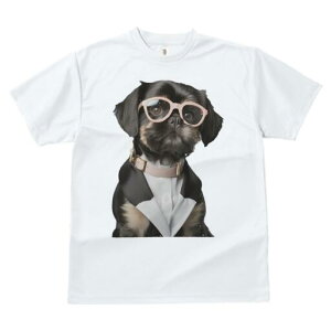 V[Y[ TVc  j[NfUCfB[X t@  t vg JWA 킢 lԗp Mtg I Kl V[Y[ X[c Vc p