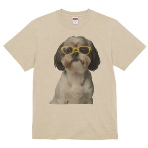 V[Y[ TVc  j[NfUCY LbY t@  t vg JWA 킢 lԗp Mtg I Kl V[Y[