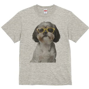 V[Y[ TVc  j[NfUCY LbY t@  t vg JWA 킢 lԗp Mtg I Kl V[Y[