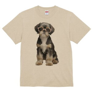 V[Y[ TVc  j[NfUCY LbY t@  t vg JWA 킢 lԗp Mtg I Kl V[Y[