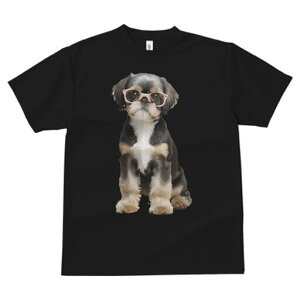 V[Y[ TVc  j[NfUCfB[X t@  t vg JWA 킢 lԗp Mtg I Kl V[Y[