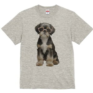 V[Y[ TVc  j[NfUCY LbY t@  t vg JWA 킢 lԗp Mtg I Kl V[Y[