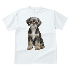 V[Y[ TVc  j[NfUCY LbY t@  t vg JWA 킢 lԗp Mtg I Kl V[Y[