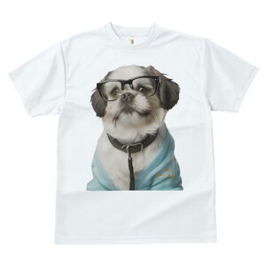 V[Y[ TVc  j[NfUCfB[X t@  t vg JWA 킢 lԗp Mtg I Kl V[Y[ Z[^[ 