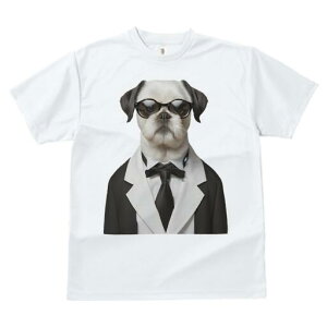 V[Y[ TVc  j[NfUCfB[X t@  t vg JWA 킢 lԗp Mtg I ^LV[h V[Y[ lN^C Kl