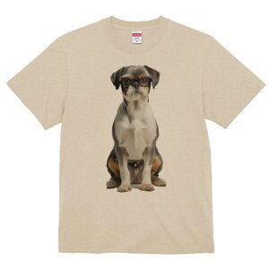 ubZOtH TVc  j[NfUCY LbY t@  t vg JWA 킢 lԗp Mtg I Kl ubZOtH