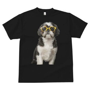 V[Y[ TVc  j[NfUCY LbY t@  t vg JWA 킢 lԗp Mtg I Kl V[Y[