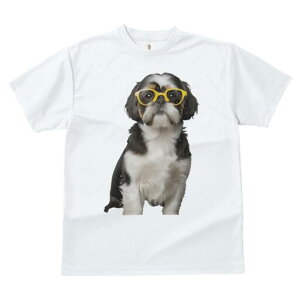 V[Y[ TVc  j[NfUCfB[X t@  t vg JWA 킢 lԗp Mtg I Kl V[Y[